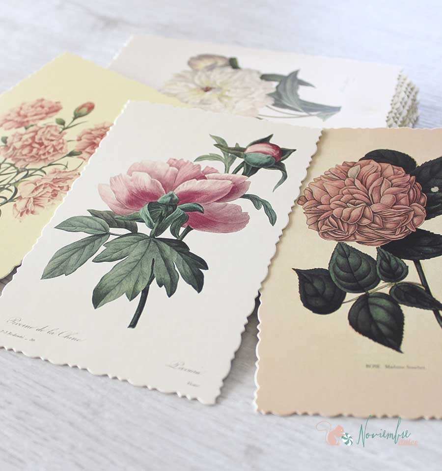Postales de Flores Vintage